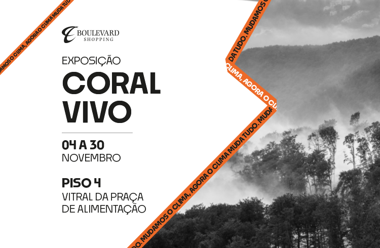 BELEM_BANNER-CORAL_51669_M-750x490 _1_.png